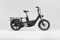 Miniature black-StepThru-0