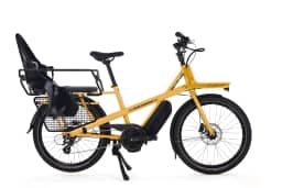 Miniature jaune-Standard-0