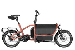 Miniature coral-Standard-0