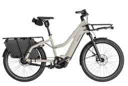 Miniature desert_black_matt-Mixte-0