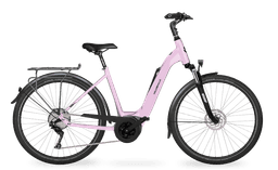 Miniature french-lavender-Wave-0