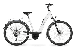 Miniature pure-white-Wave-0