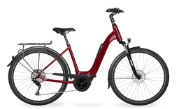 Miniature ruby-red-brilliant-Wave-0