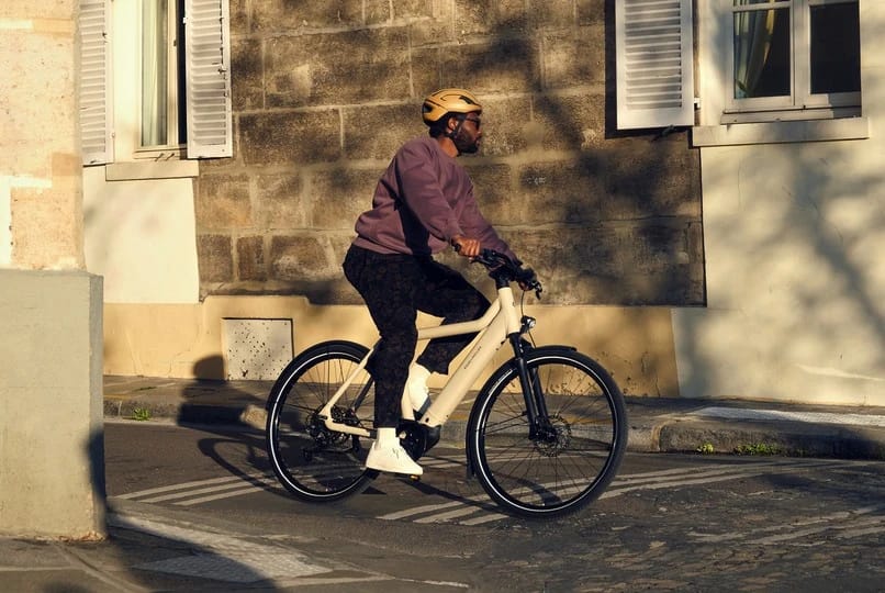 Vélo de fonction électrique de Riese und Muller