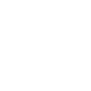 Specialized