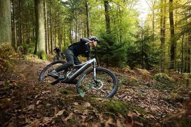 Collection of four insulated travel bottles on wooden shelf.