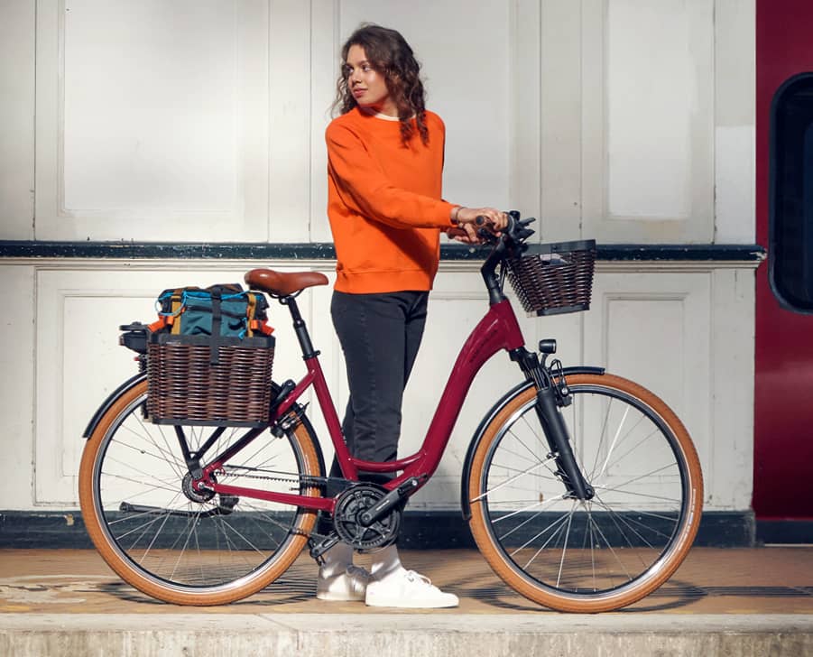 Velo de fonction riese & Muller