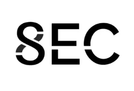 Logo 8sec
