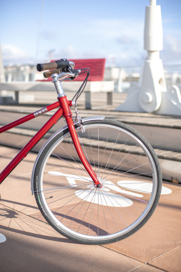 Photo d'un velo pliant Eovolt